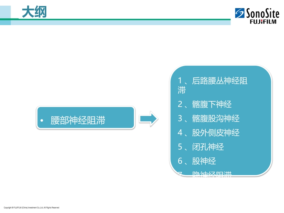 医学超声引导下腰丛神经阻滞课件_第2页