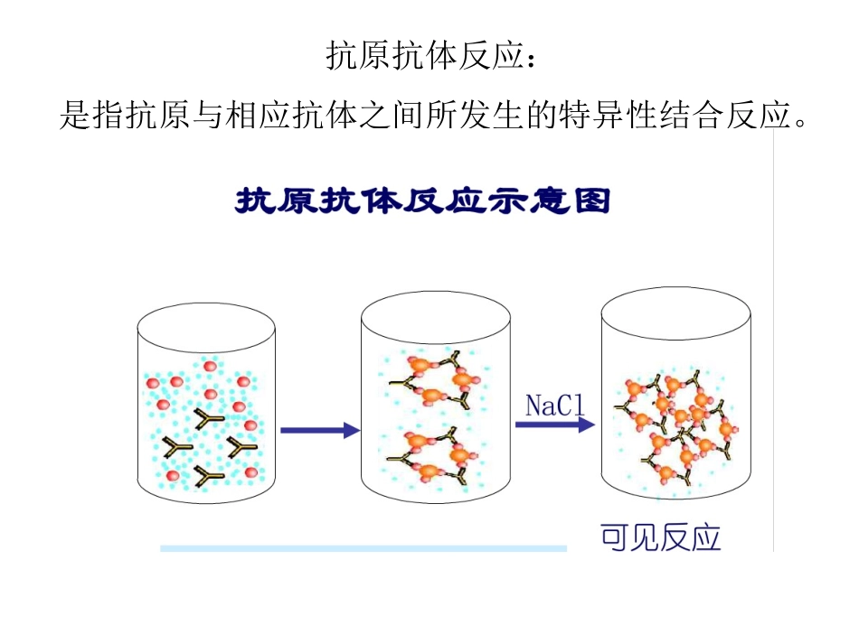 医学检验中凝集反应的原理_第3页