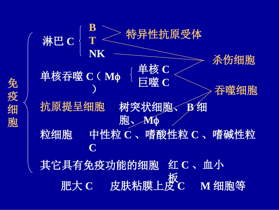 医学免疫学固有免疫细胞_第2页