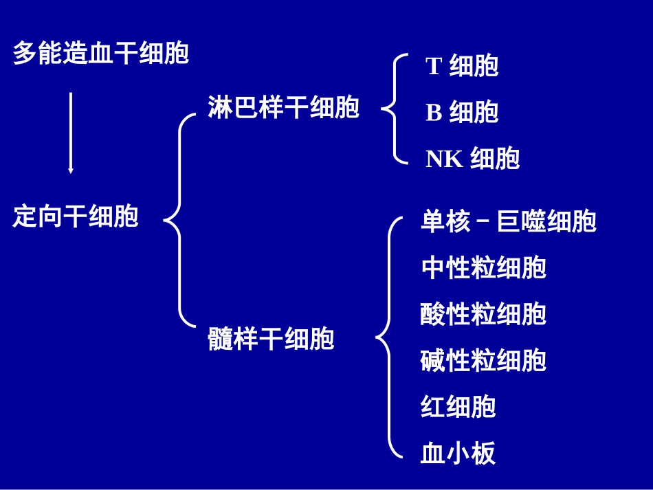医学免疫学固有免疫细胞_第3页