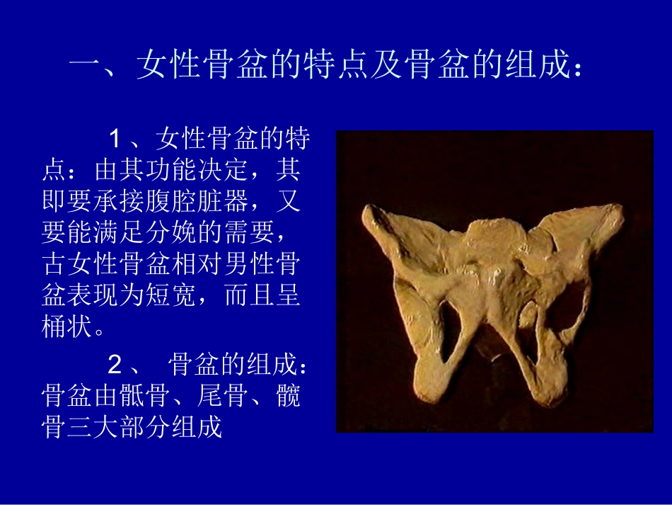 医学女性骨盆和测量专题课件_第2页