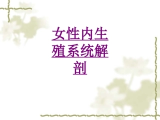 医学女性内生殖系统解剖培训课件