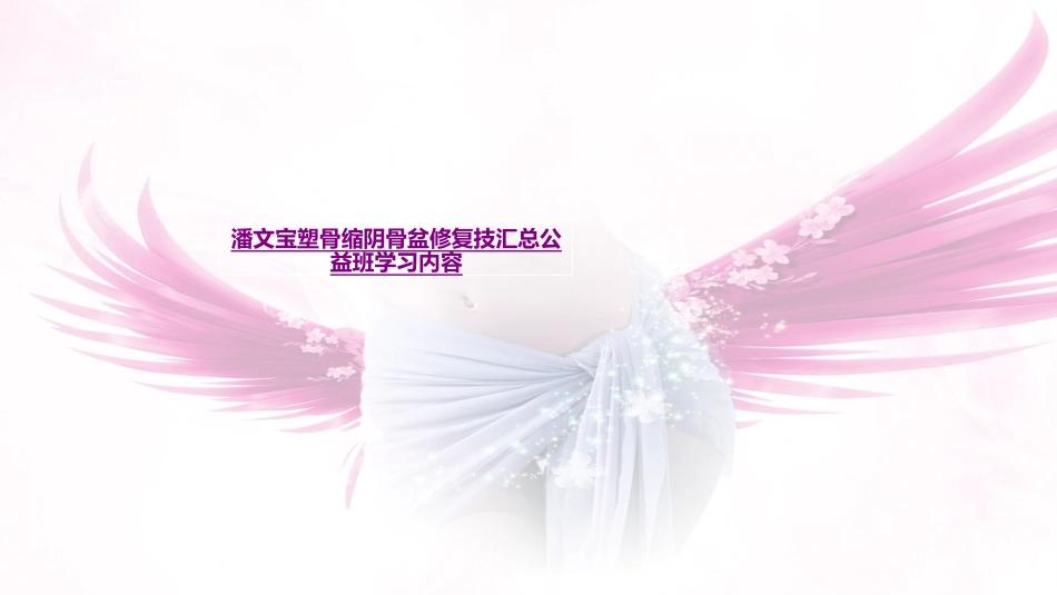 医学潘文宝塑骨缩阴骨盆修复技汇总公益班学习内容课件_第1页