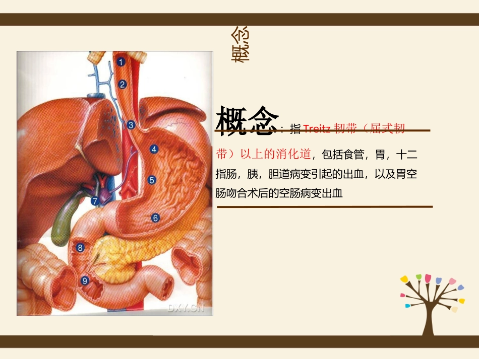 医学上消化道出血的护理查房课件_第3页