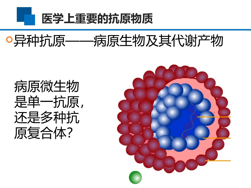 医学上重要的抗原_第2页
