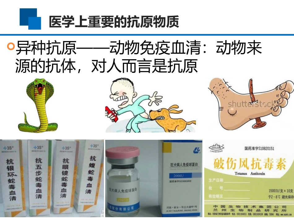 医学上重要的抗原_第3页