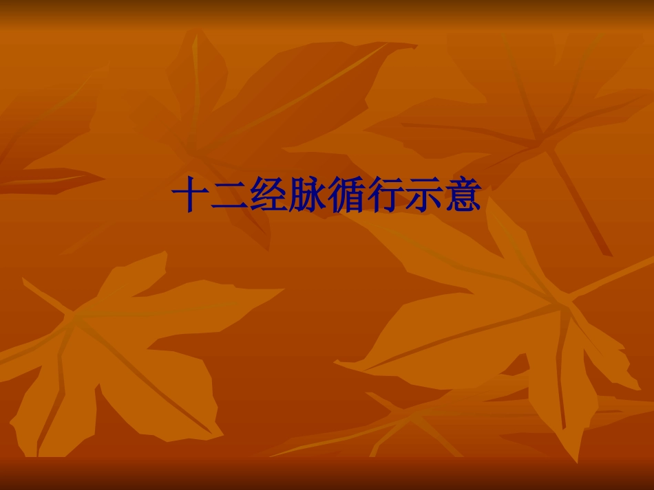 医学十二经脉循行示意专题培训课件_第1页