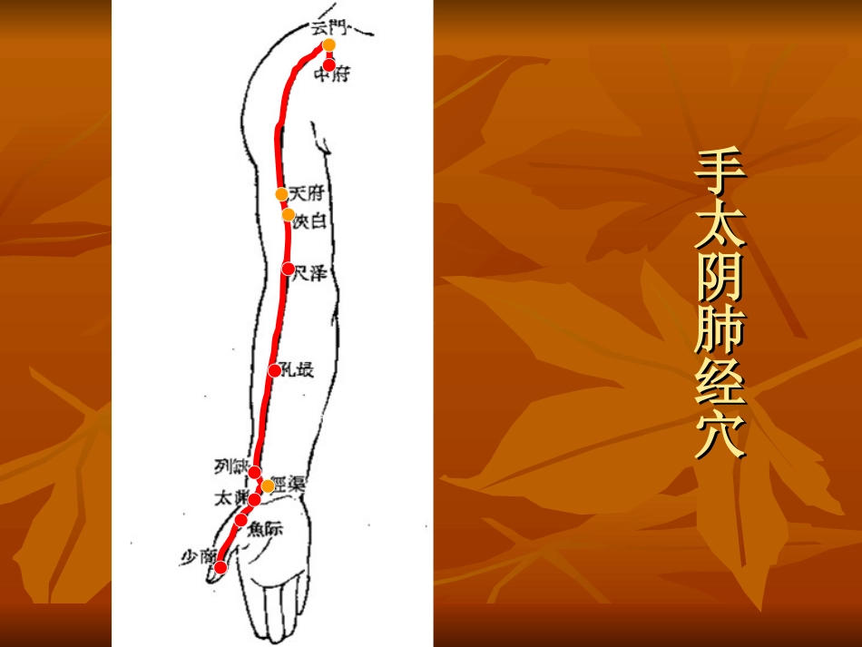 医学十二经脉循行示意专题培训课件_第3页