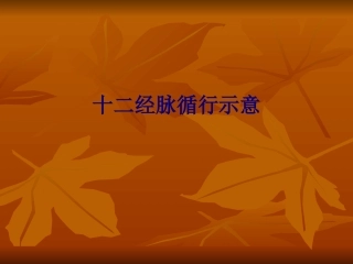 医学十二经脉循行示意专题培训课件