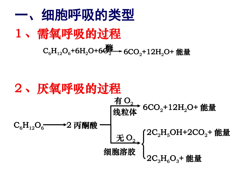 医学细胞呼吸和液滴移动问题专题课件_第2页