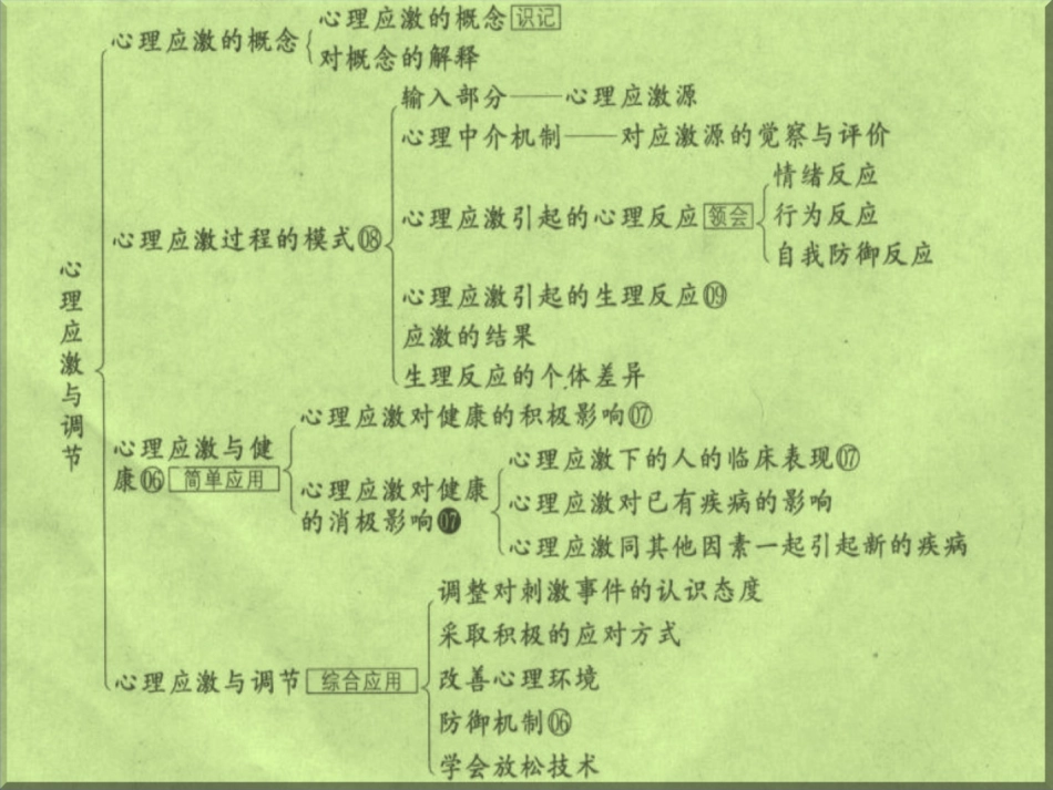 医学心理学课件心理应激和调节_第3页