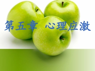 医学心理学心理应激