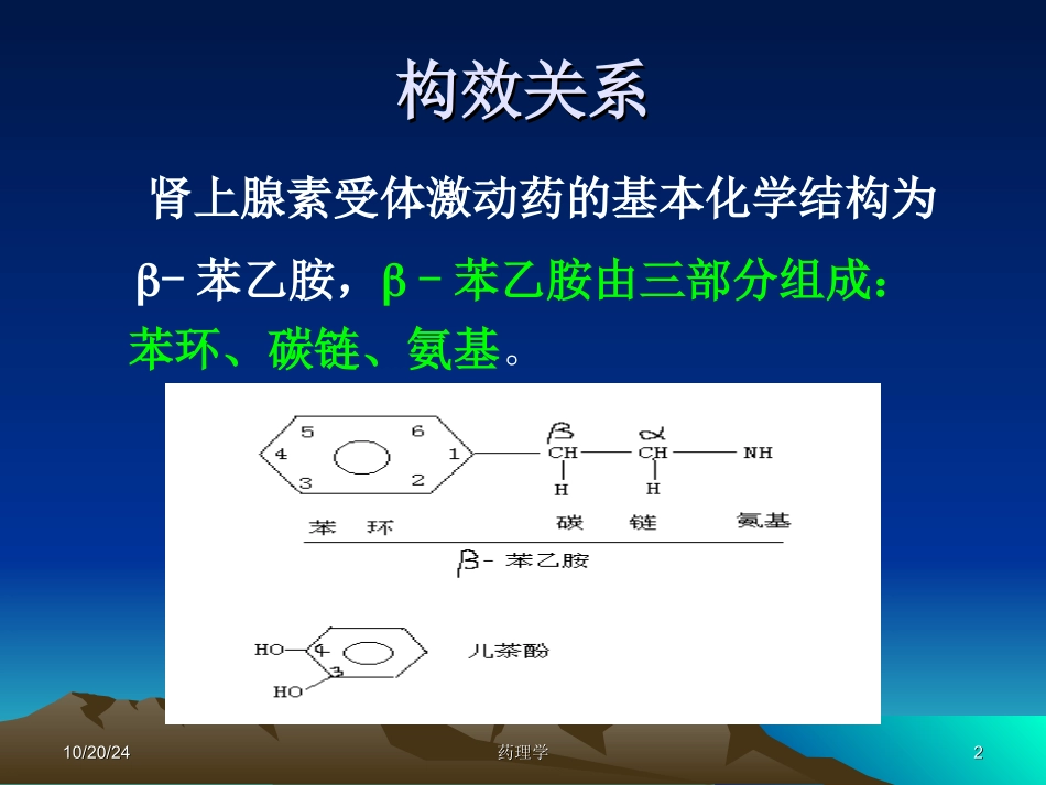 医学异丙肾上腺素讲解课件_第2页