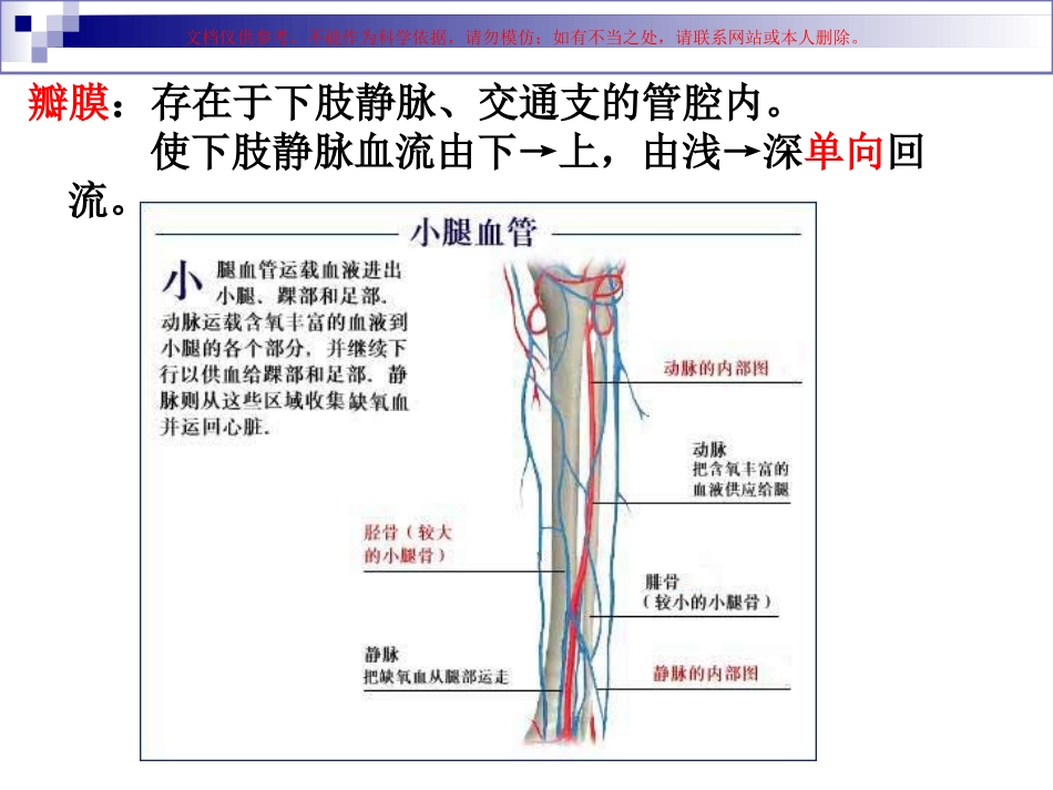 医用弹力袜的穿脱课件_第3页