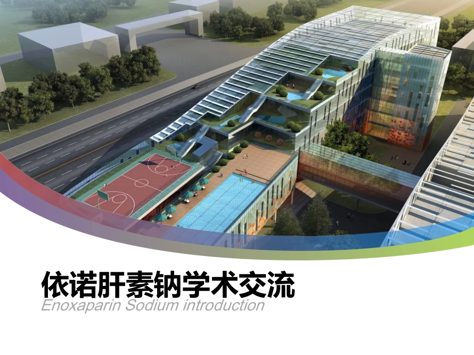 依诺肝素钠学术交流_第1页