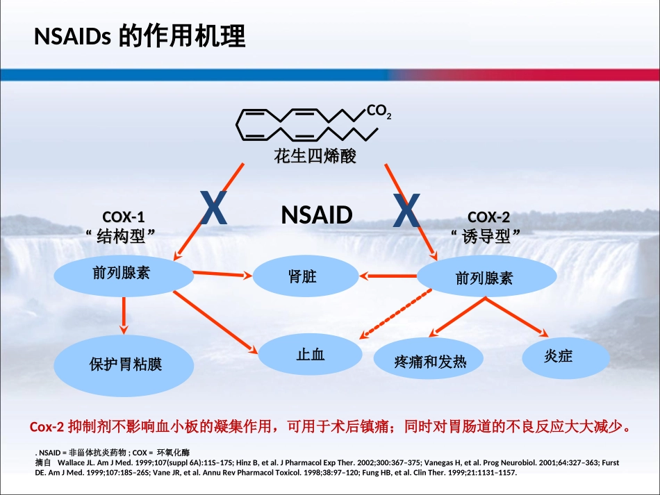 依托考昔治疗急性疼痛_第3页