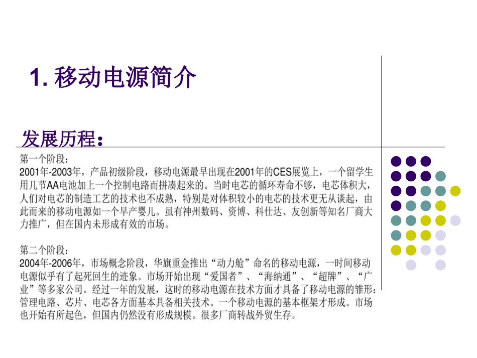 移动电源行业报告_第2页