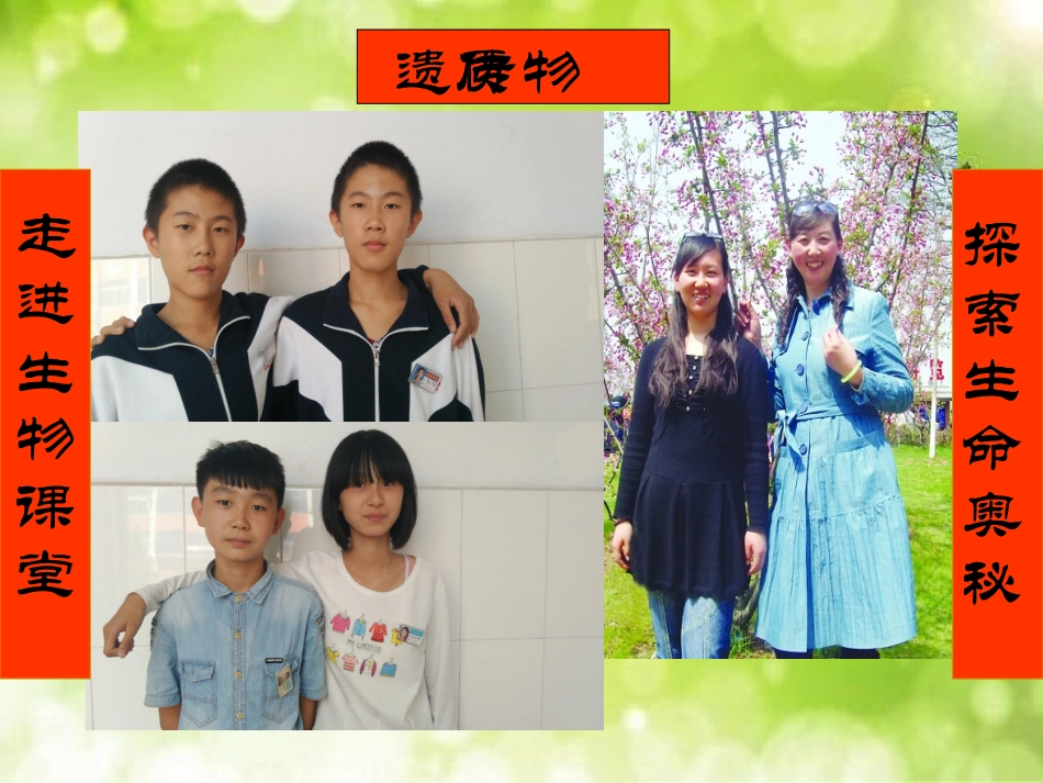 遗传的物质基础_第2页