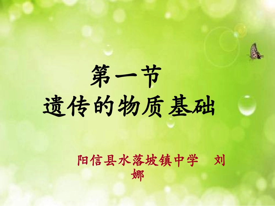 遗传的物质基础_第3页