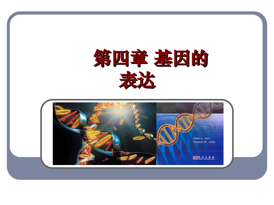 遗传密码子的破译选学_第1页