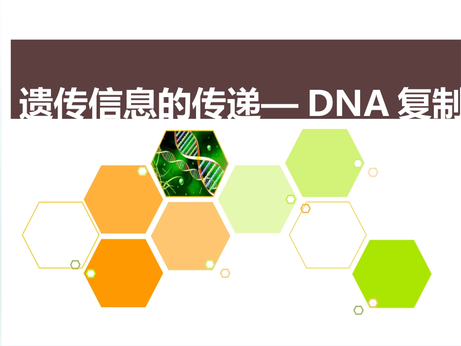 遗传信息的传递DNA_第1页