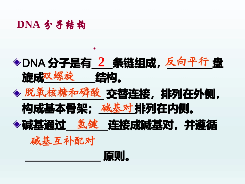 遗传信息的传递DNA_第3页