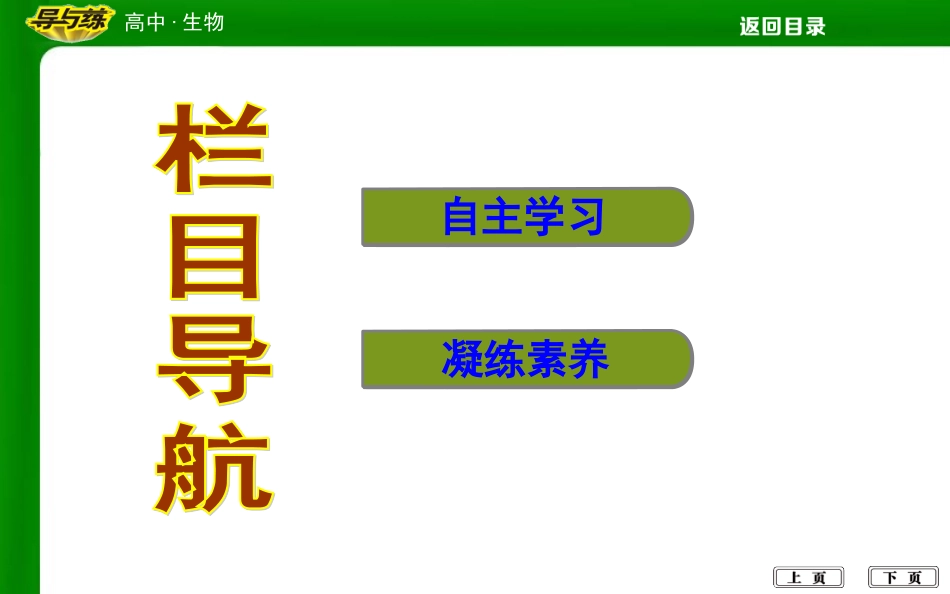 遗传信息对性状的控制_第2页