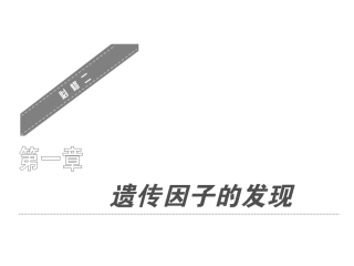 遗传因子的发现