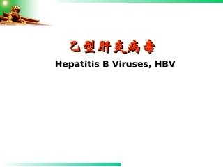 乙型肝炎病毒
