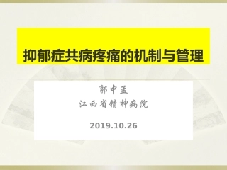 抑郁症和疼痛精简版