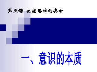 意识的本质优秀课件
