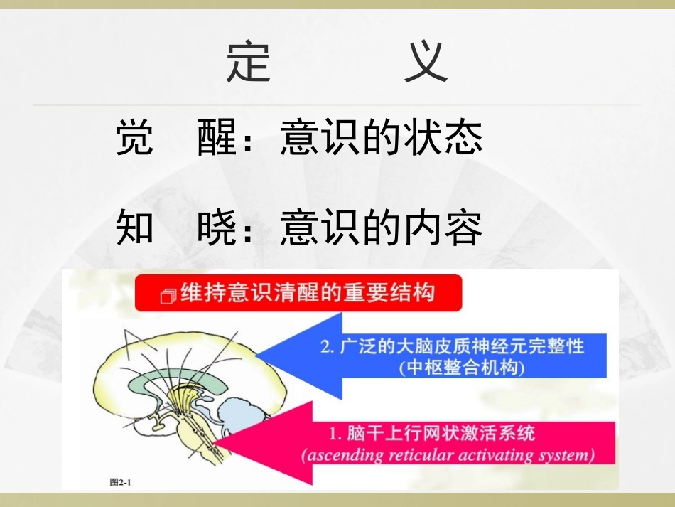 意识障碍评估_第2页