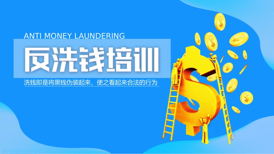 银行金融机构反洗钱开展专题培训_第1页