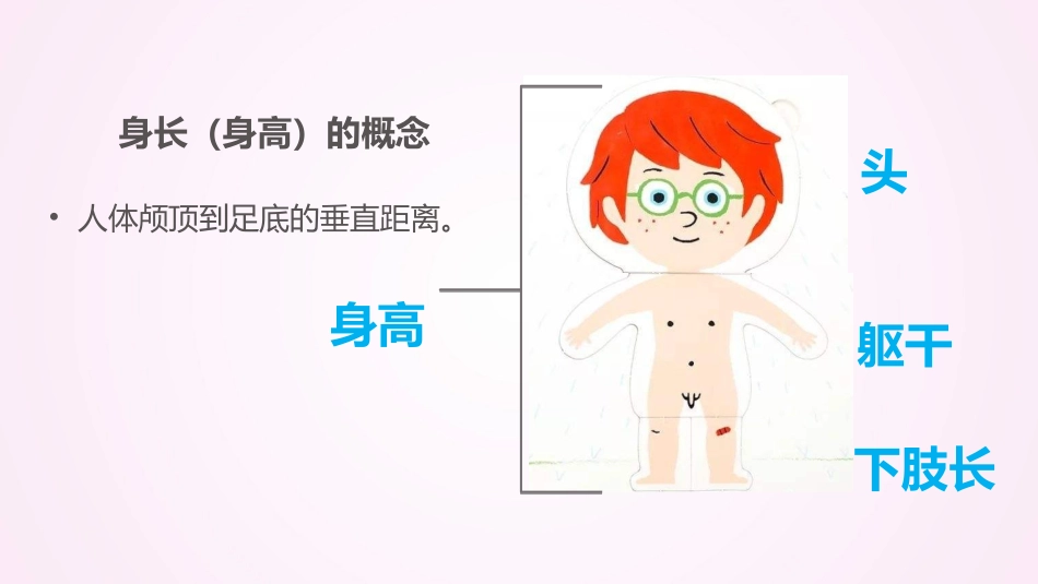 婴幼儿体格测量身高身长的测量_第2页