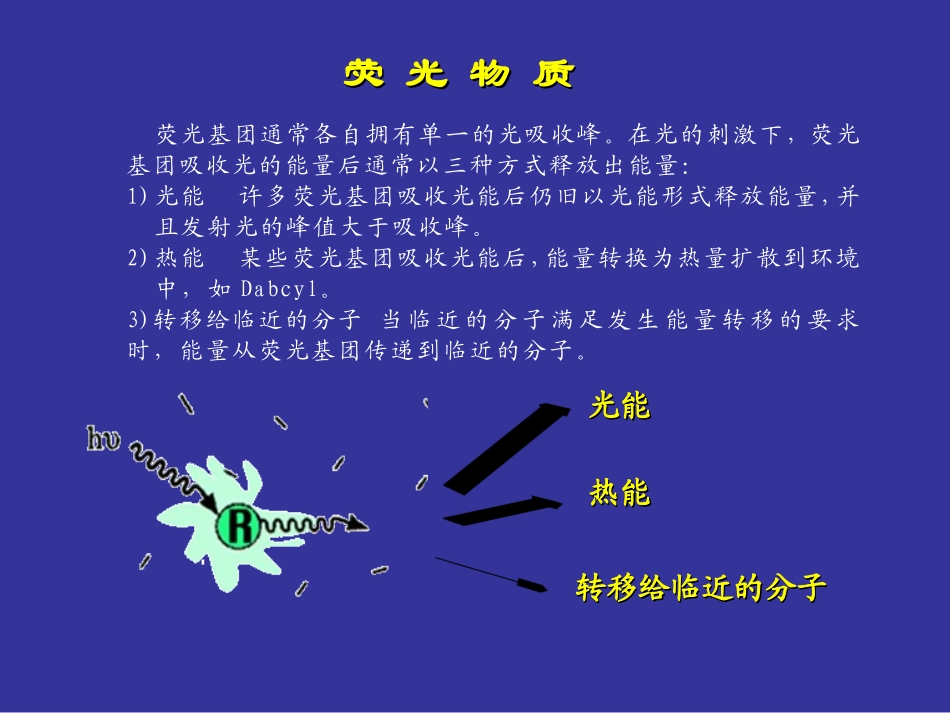 荧光PCR技术_第3页