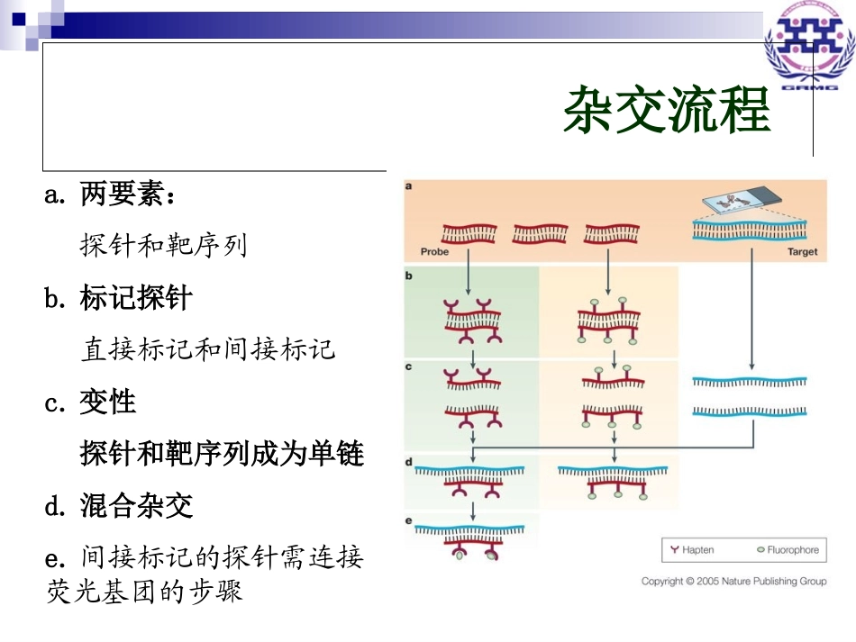 荧光原位杂交更新_第3页