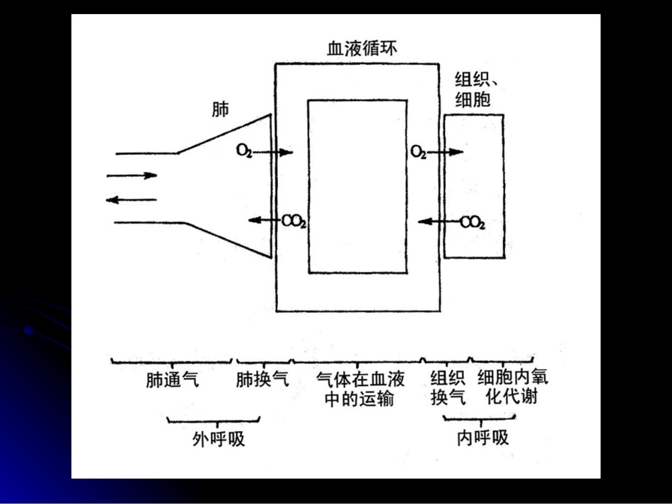 影响肺顺应性和气道阻力的因素解析_第3页