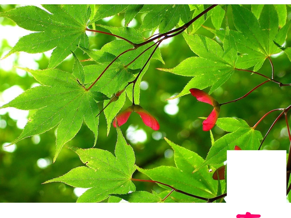 用表格表示的变量间关系_第3页