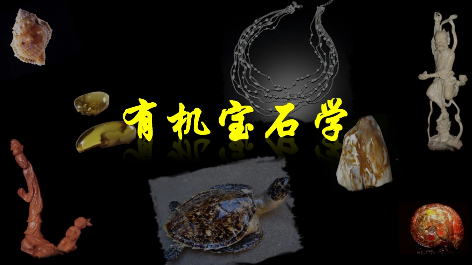 有机宝石总论_第1页