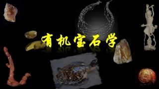 有机宝石总论