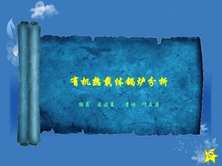 有机热载体锅炉内部培训