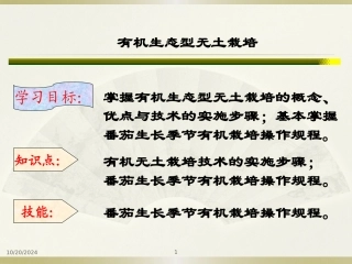 有机生态型无土栽培