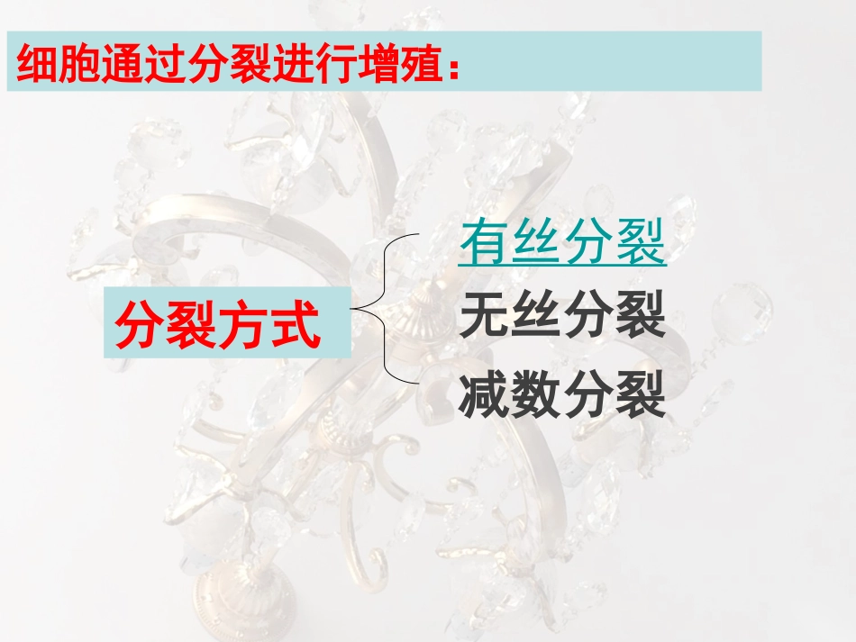 有丝分裂课件_第3页