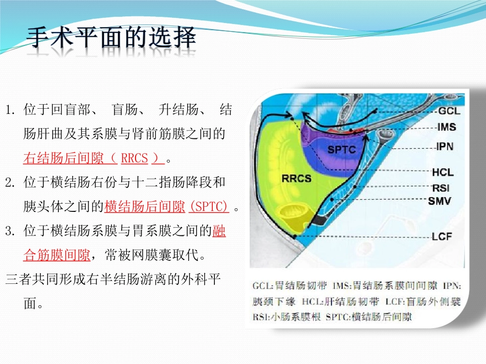 右半结肠几点认识_第2页