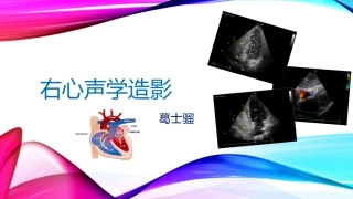 右心声学造影