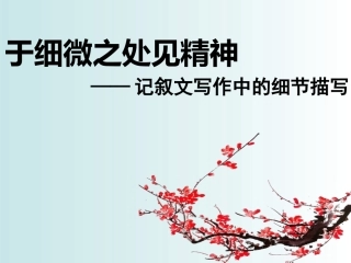 于细微处见人物精神完美版