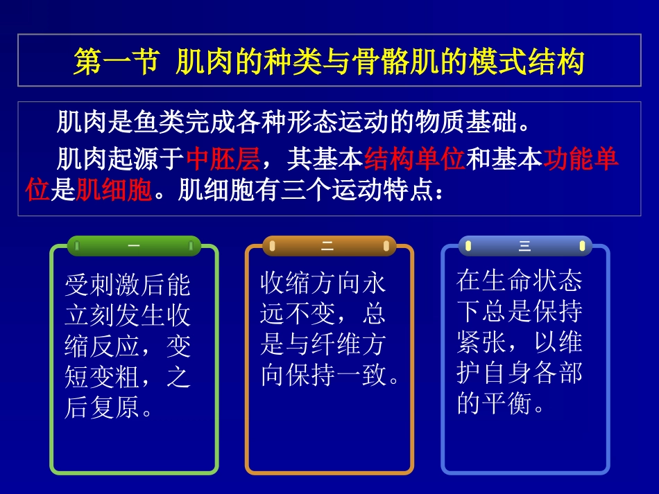 鱼类学肌肉系统_第2页