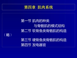 鱼类学肌肉系统