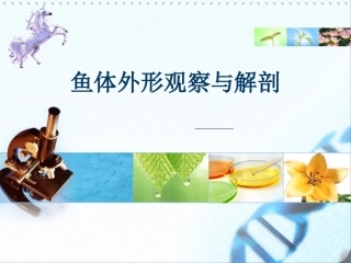 鱼体外形观察和解剖