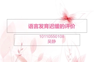 语言发育迟缓的评估